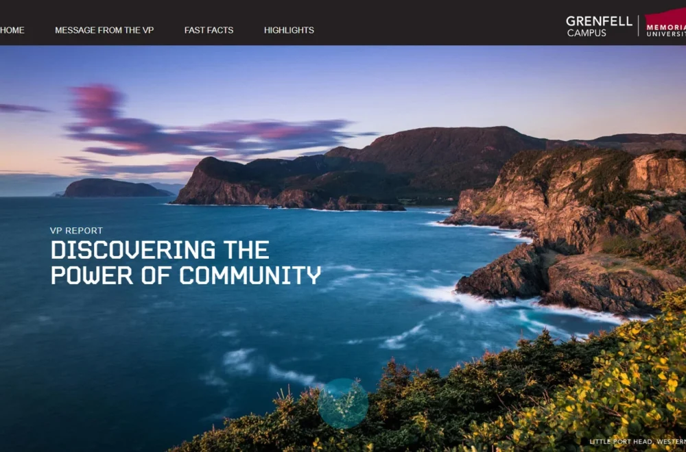 Screenshot of Grenfell Campus – VP Report (2019) website